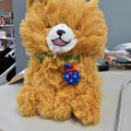 Kawaii Dog Plush
