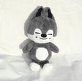 [NEW] SKZOO TEDDY BEAR 50CM 20’’ + [FREE SKZOO]