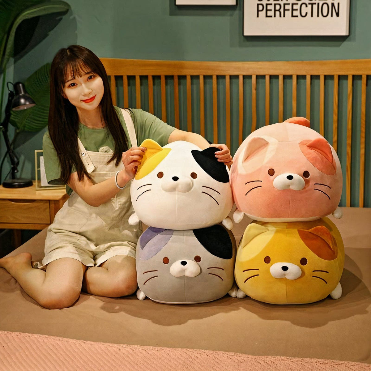 Plumpy Cat Crew Collection Plushies
