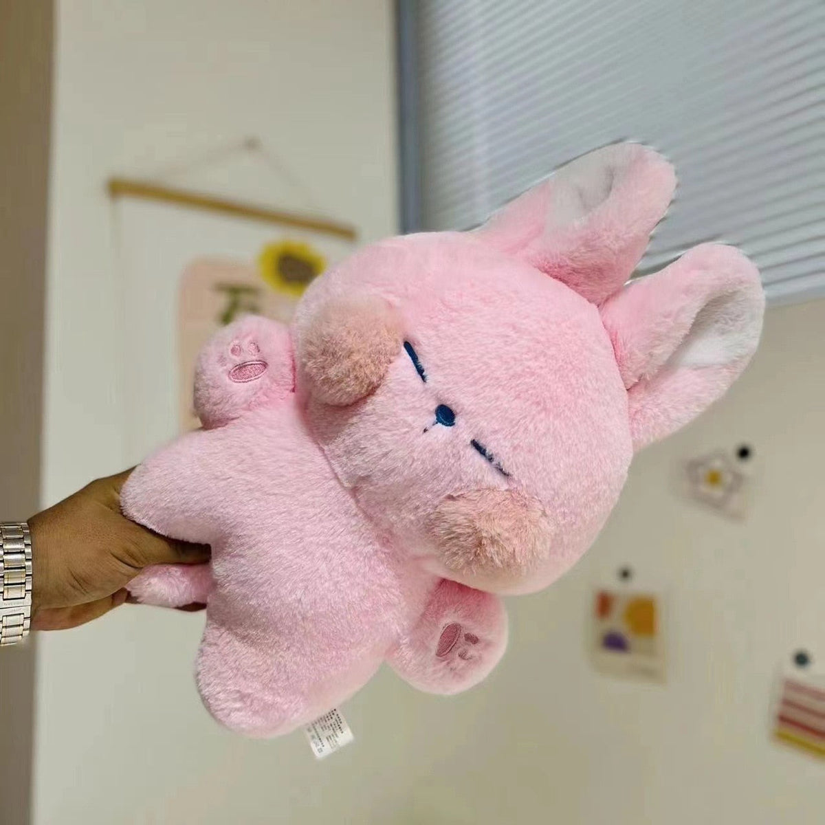 Funny Bunny Plushies