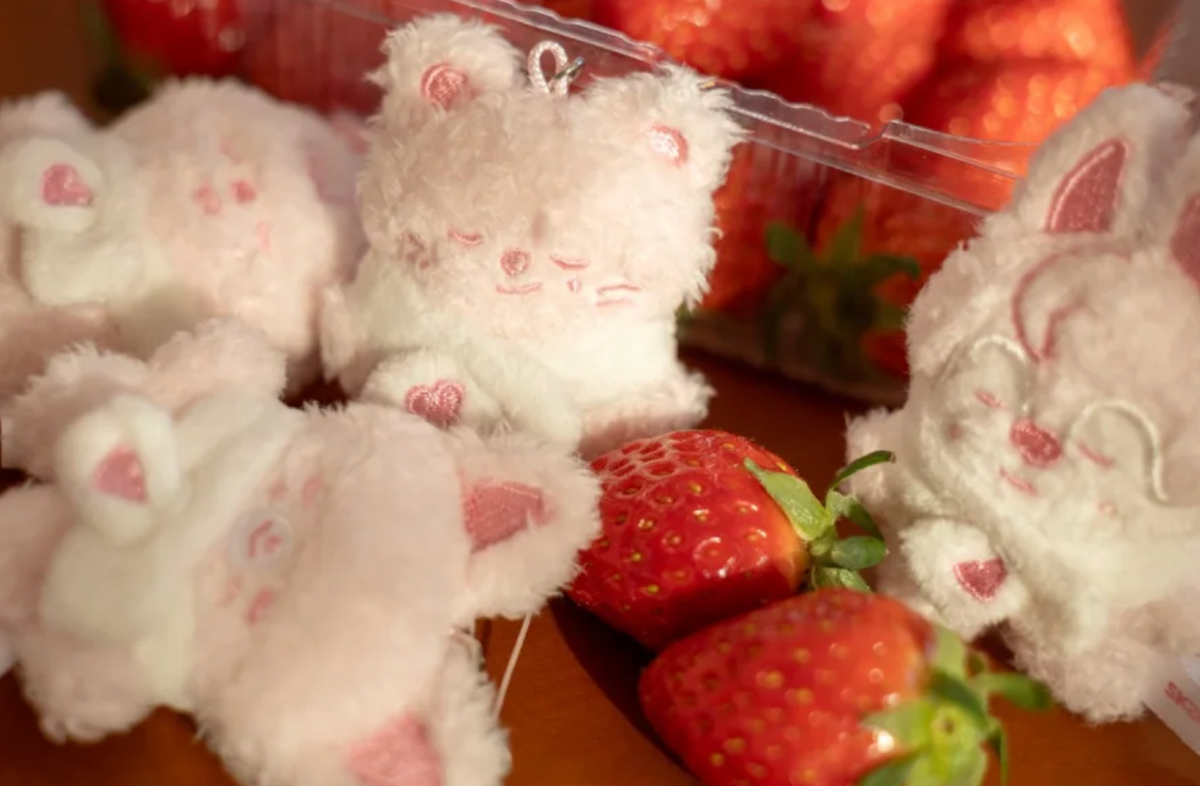 [NEW] SKZOO Secret Plush Micro Ver. 6th Fanmeeting 'STAY in Our Little House'