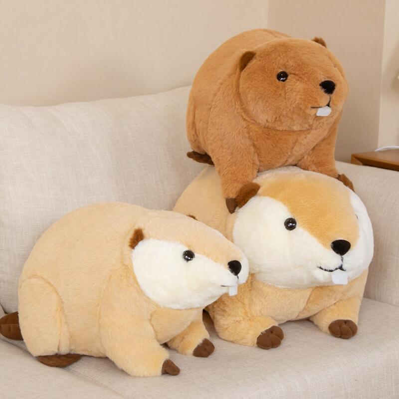 Cuddly Billy & Willy the Adorable Fluffy Brown Beaver Plush Toy