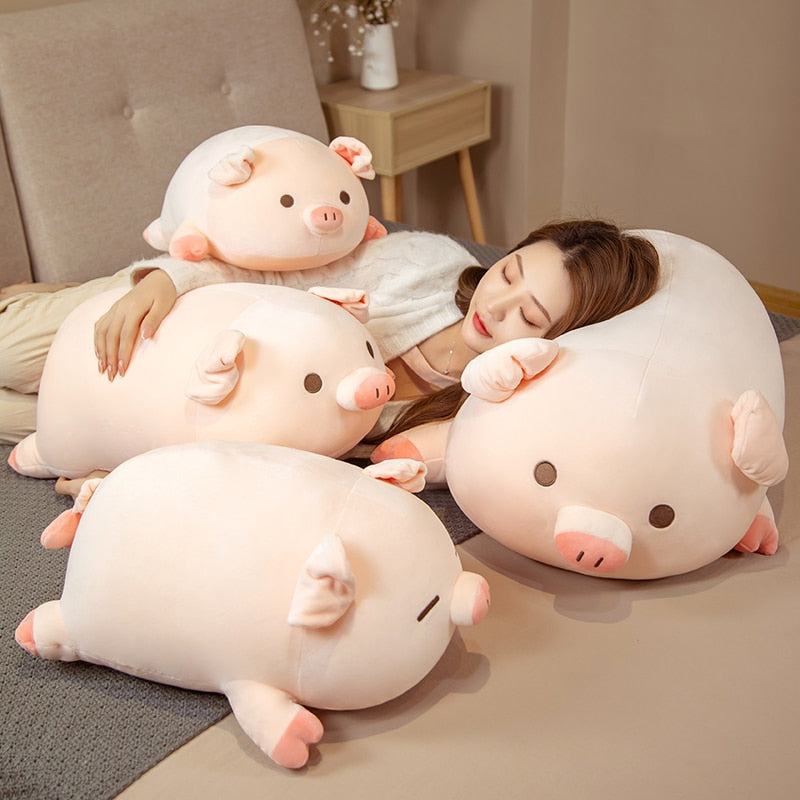 Adorable Chonky Pink Piggy Plushies | Just Arrived!