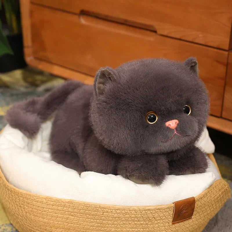 Adorable Fluffy Kitten Squad Cuddle Plushies