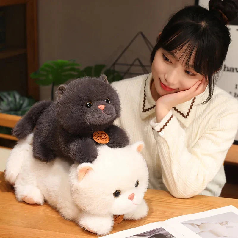 Adorable Fluffy Kitten Squad Cuddle Plushies