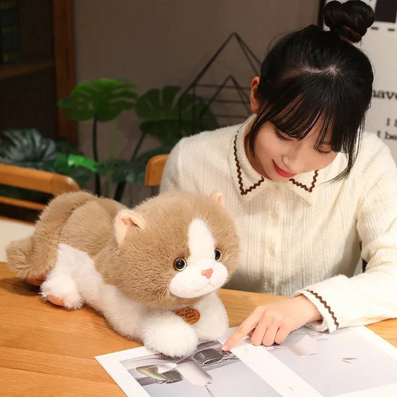 Adorable Fluffy Kitten Squad Cuddly Plushies