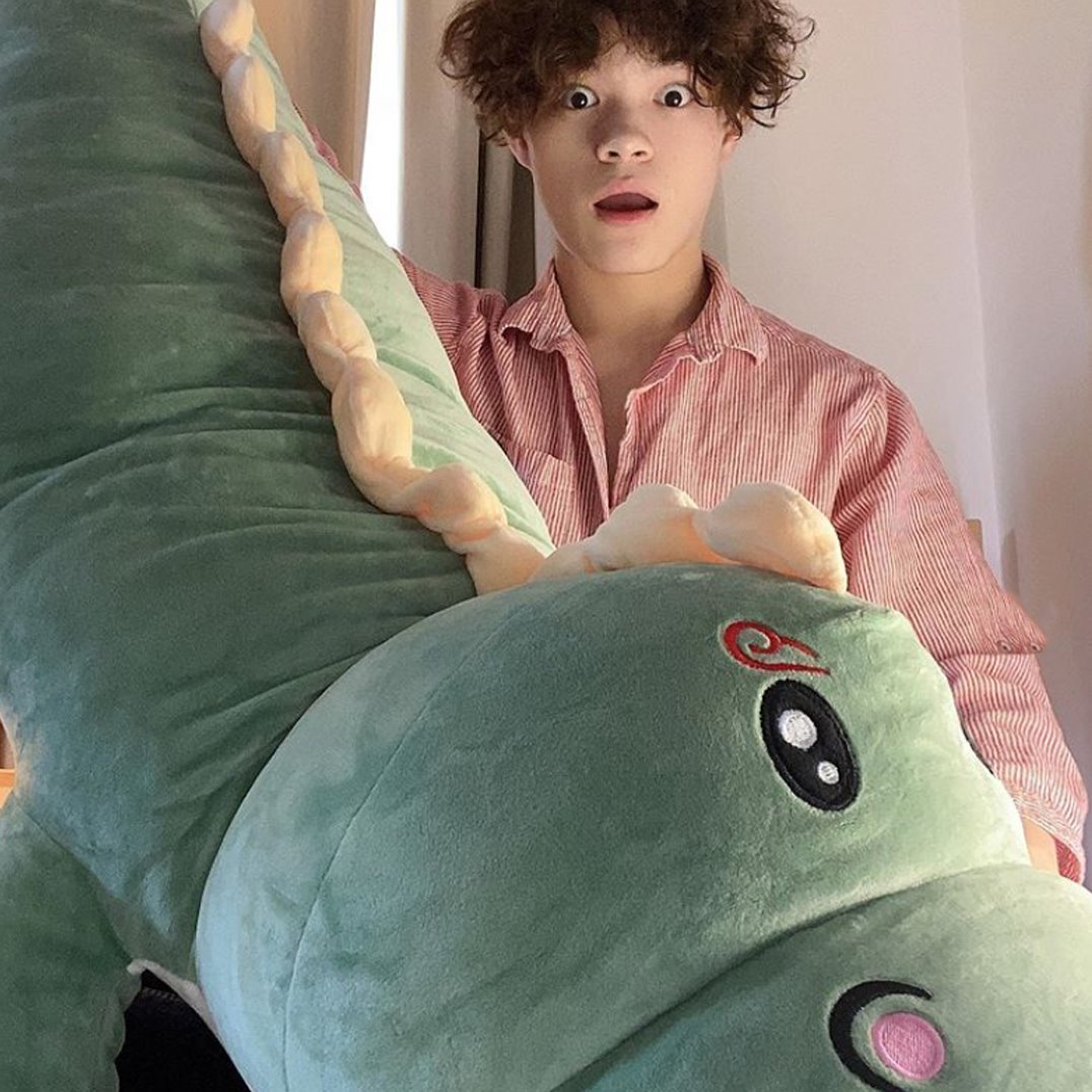 Haku the Adorable Dinosaur Stuffed Toy