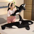 Kalia the Adorable Orca Whale Plush Toy
