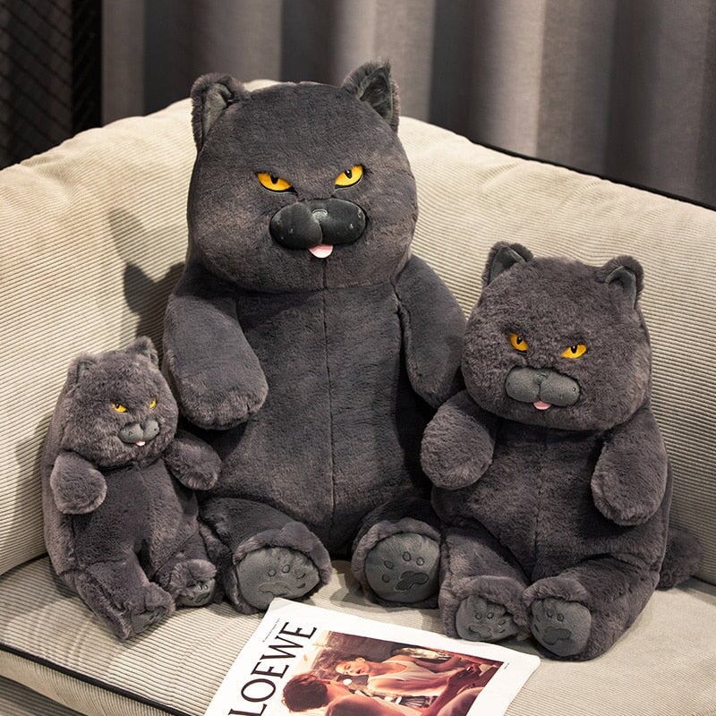 Poe the Adorable Grumpy Cat Plush Toy