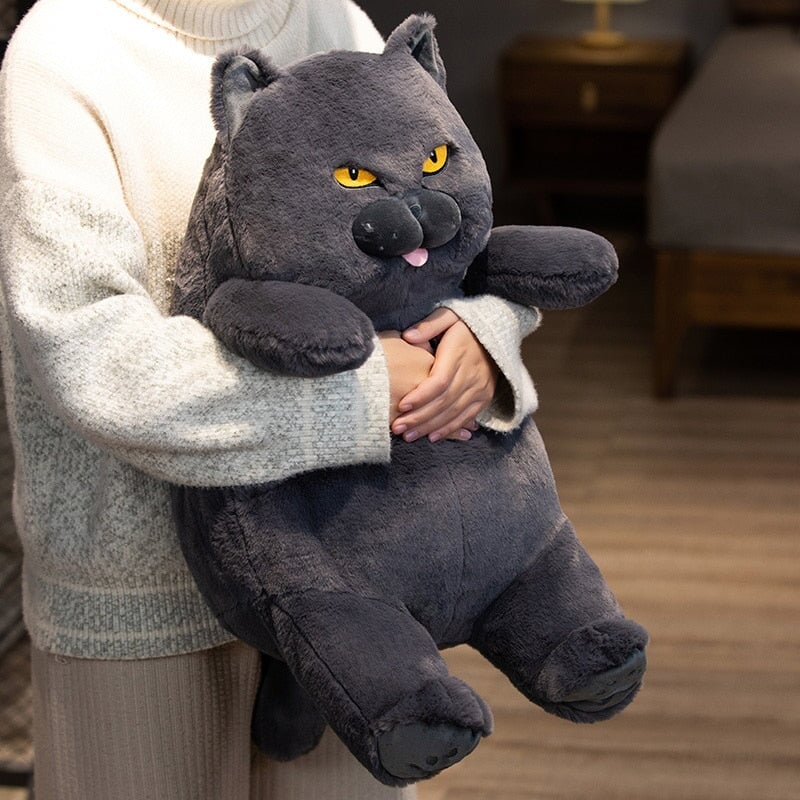 Adorable Grumpy Cat Poe Plush Toy