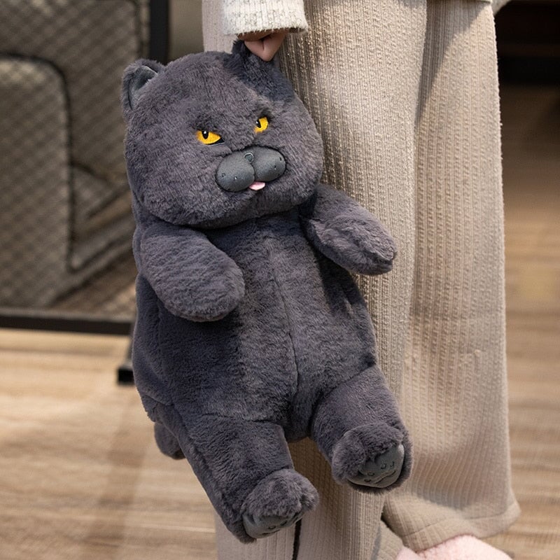 Poe the Adorable Grumpy Cat Plush Toy