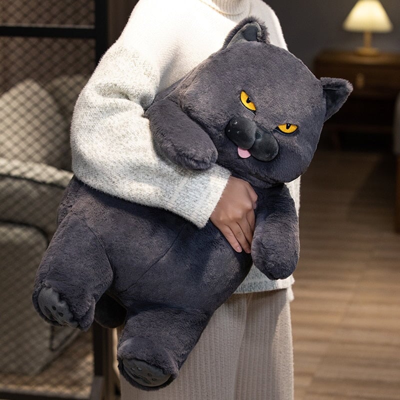 Poe the Adorable Grumpy Cat Plush Toy