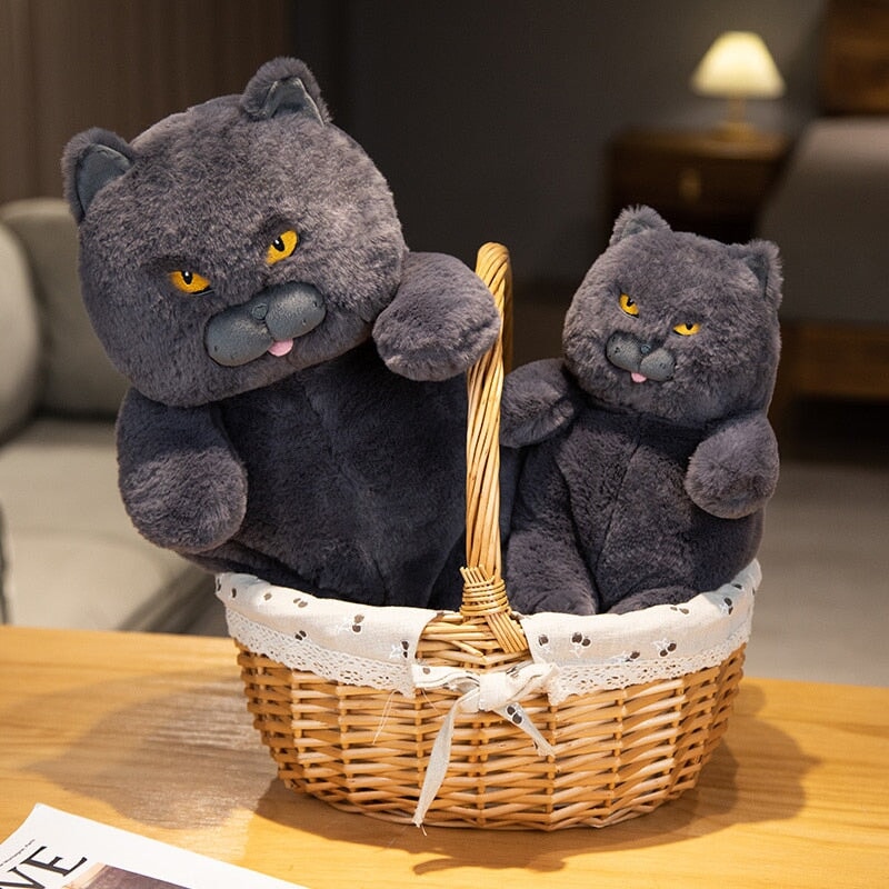 Poe the Adorable Grumpy Cat Plush Toy