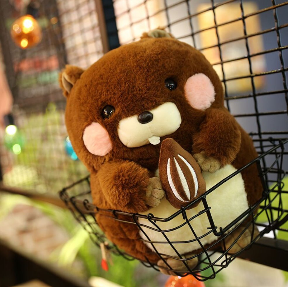 Adorable Snacking Beaver Plushies | Hurry, Limited Stock Available!