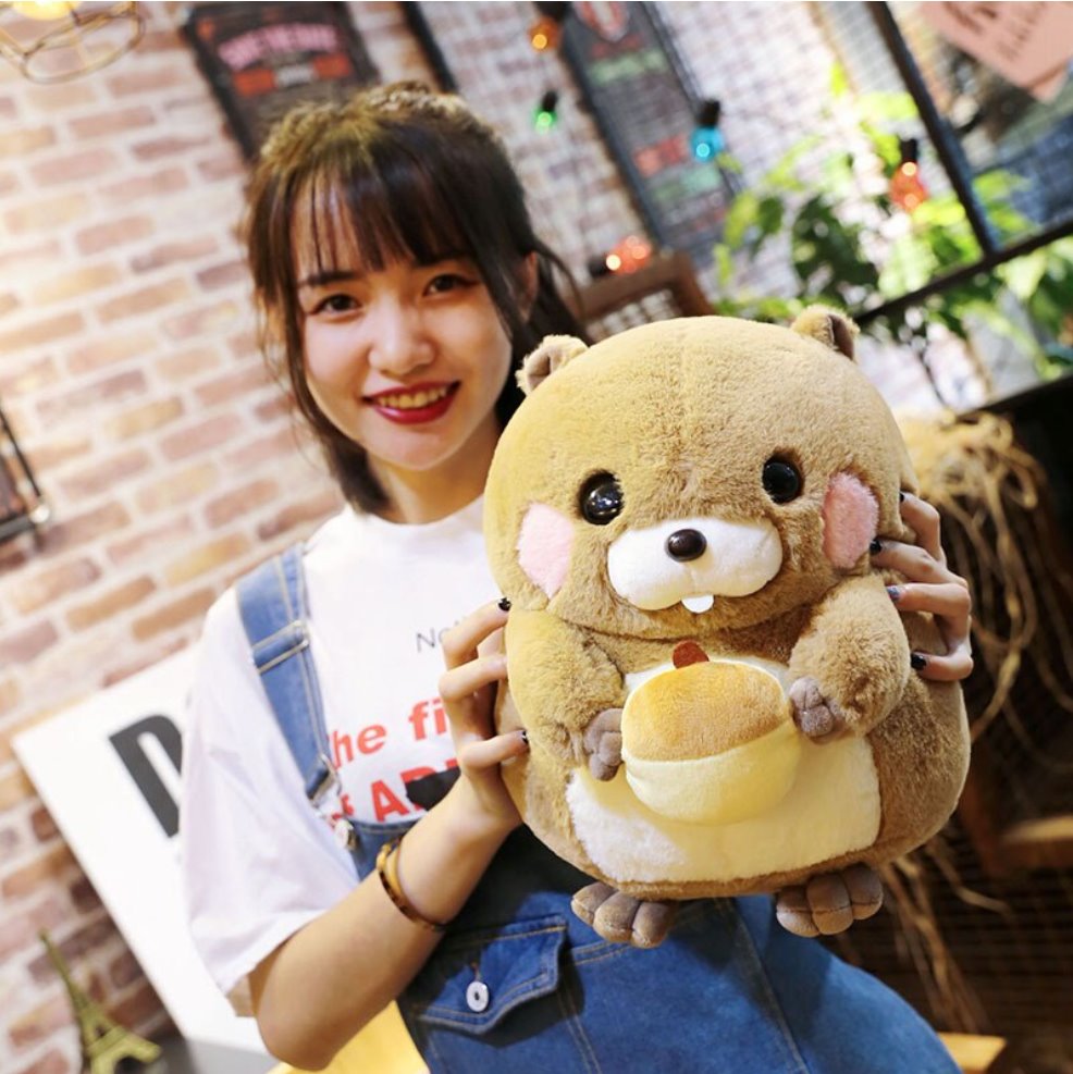 Adorable Snacking Beaver Plushies | Hurry, Limited Supply!
