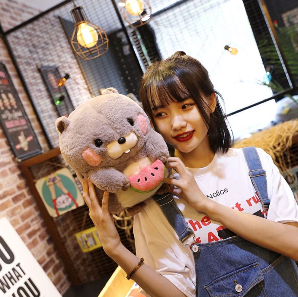 Adorable Snacking Beaver Plushies | Hurry, Limited Supply!