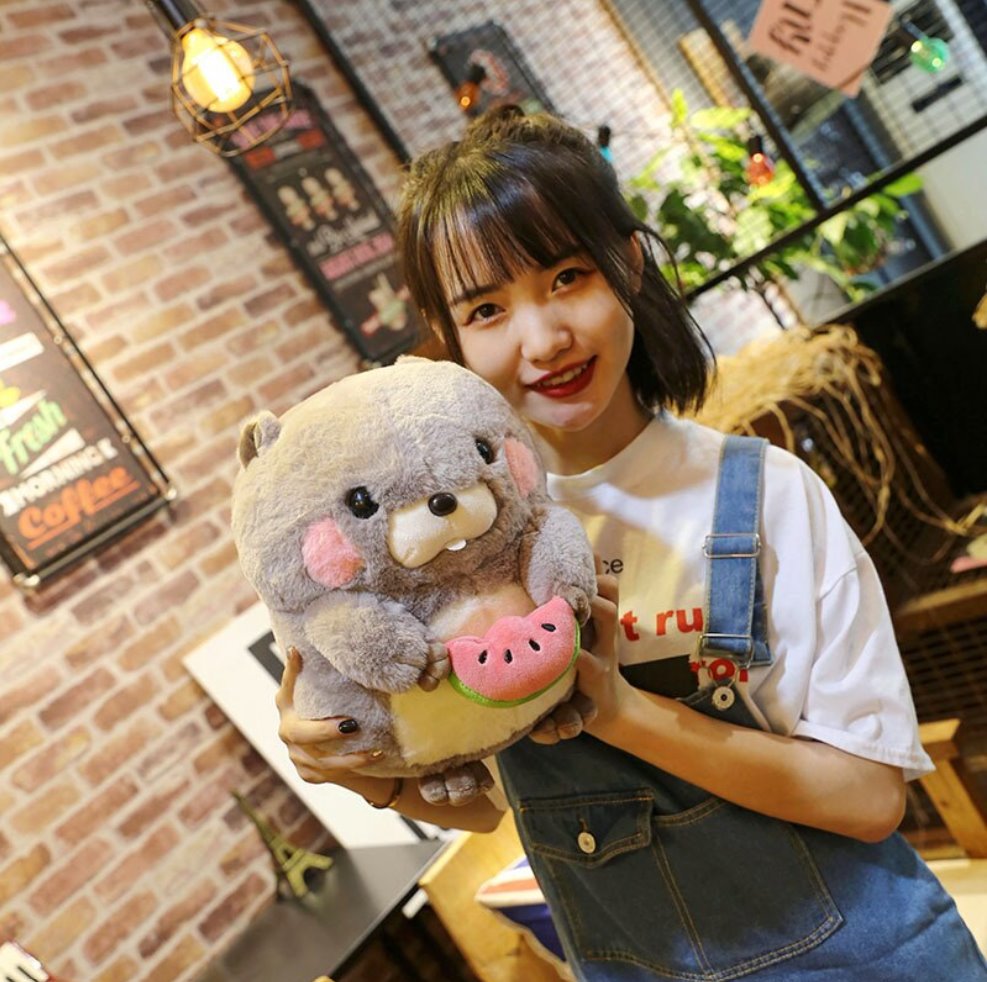 Adorable Snacking Beaver Plushies | Hurry, Limited Supply!