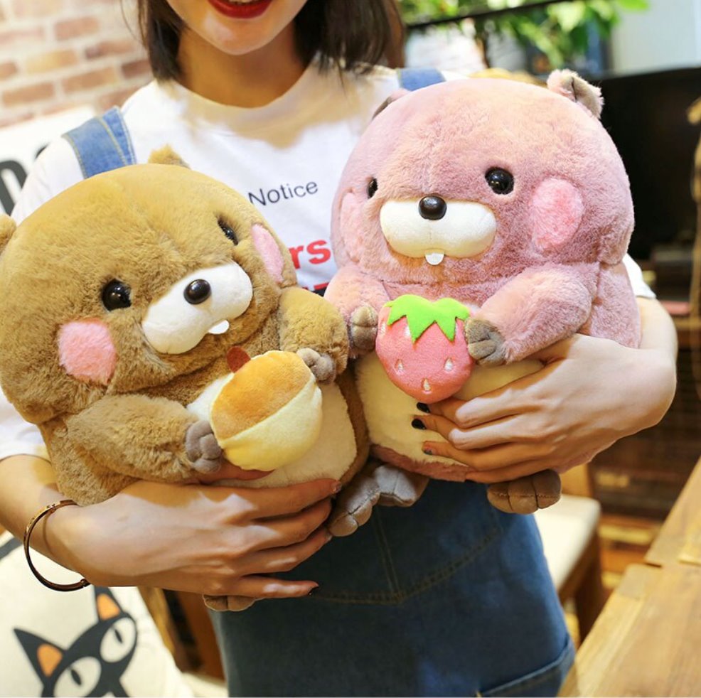 Adorable Snacking Beaver Plushies | Hurry, Limited Supply!