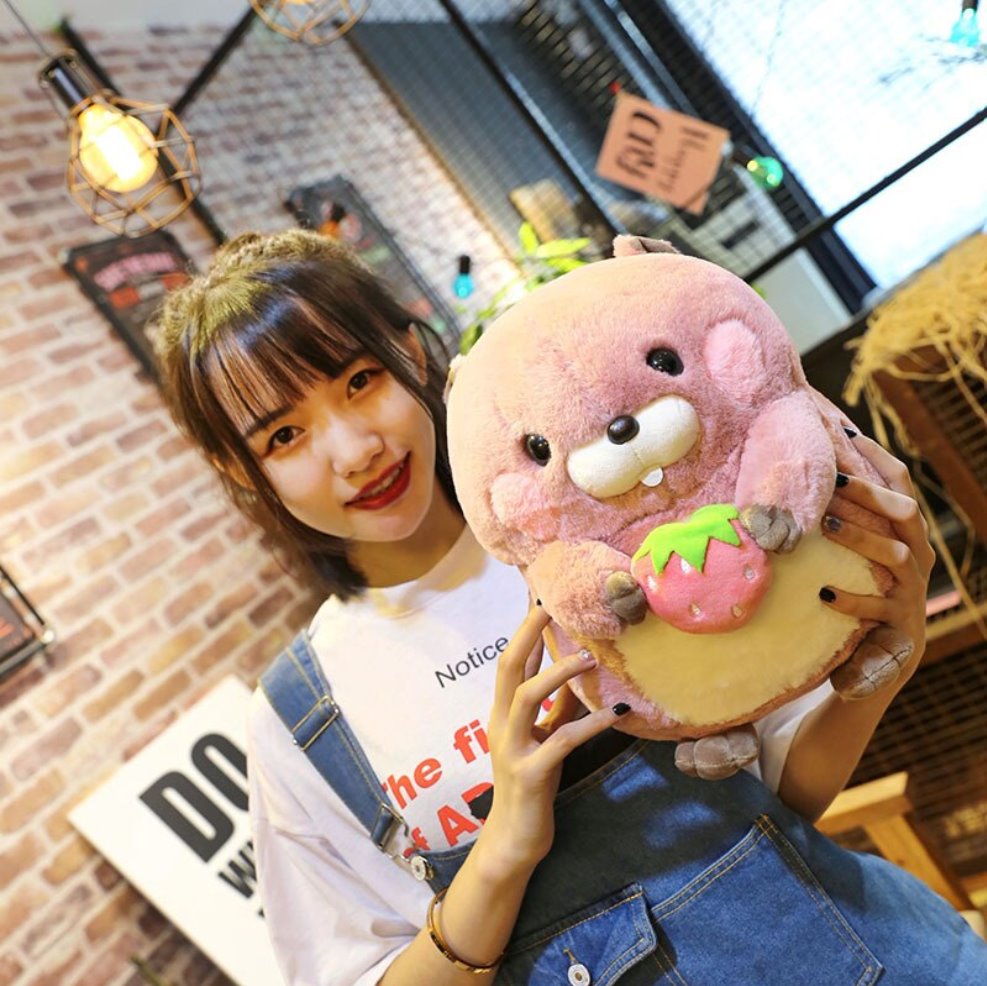Adorable Snacking Beaver Plushies | Hurry, Limited Supply!