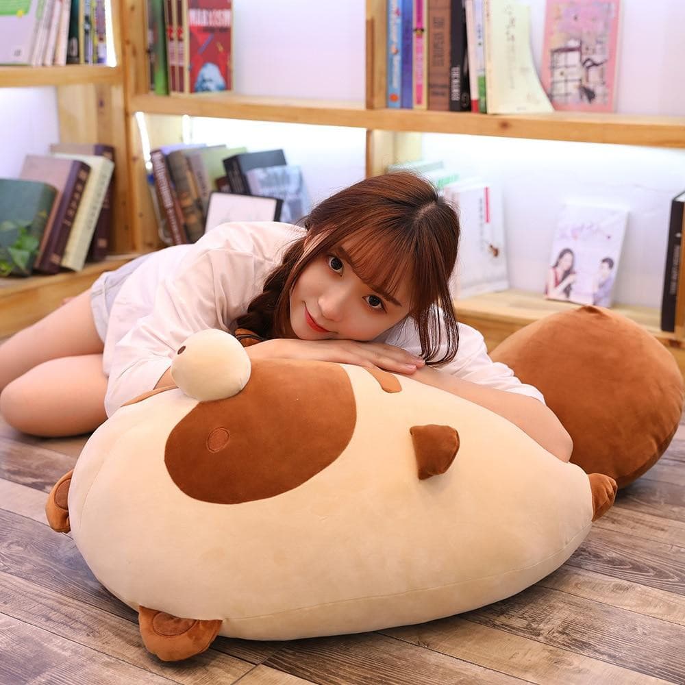 Plumpy Chonky Rigby the Mischievous Raccoon and Autumn the Mellow Fox Plushies
